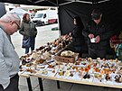Zajmavost poslednch letonch farmskch trh v Kopivnici byla vstava...