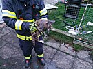 tynohho mazlka z disku kola museli vysvobodit hasii.