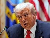 Americký prezident Donald Trump pi jednání se svým argentinským protjkem...
