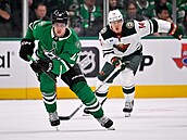 Radek Faksa z Dallas Stars v akci b�hem utkání s Minnesota Wild.