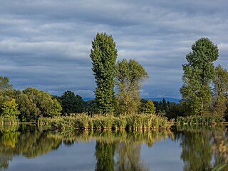 Za rybníkem ve Starém Plese jsou pozemky, které koupila hradecká stavební...