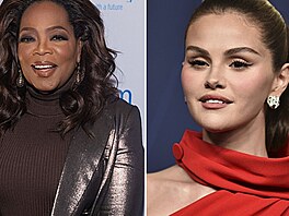 Dnes je známe jako hereky a zpvaky, tyto VIP eny ale zaínaly v soutích...