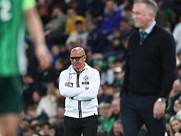 Kou slovenských fotbalist Francesco Calzona bhem zápasu se Severním Irskem.