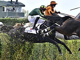 �okej Keith Donoghue v sedle Stumptowna na trati Velké pardubické