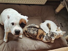 Deny, Onnea a Hrab�nka