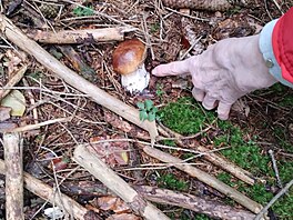 Tenhle byl nejhez�í h�íbe�ek.