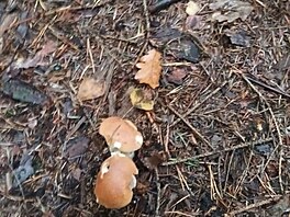 H�iby z Plze�ska