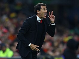 Trenér belgické reprezentace Rudi Garcia bhem utkání s Walesem.