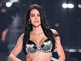 Amelia Gray na p�ehlídce Victoria�s Secret v New Yorku (15. �íjna 2025)