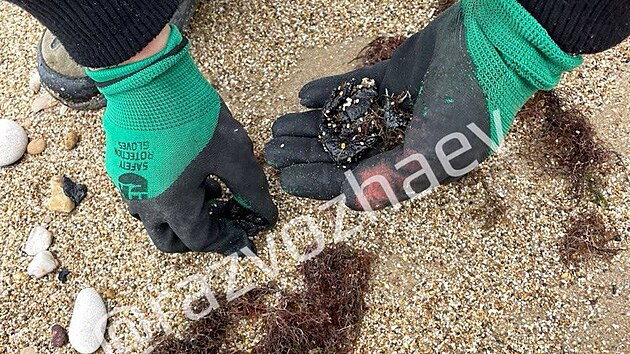 Na plch ruskho ernomoskho letoviska Anapa se znovu objevily ropn skvrny. (12. jna 2025)