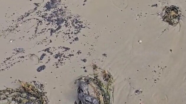 Na ernomoskm pobe se znovu objevily ropn skvrny. (12. jna 2025)