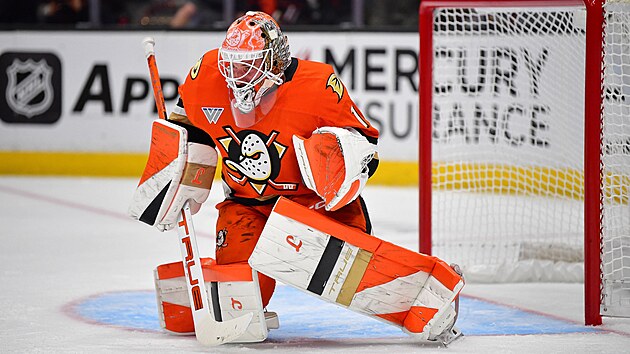 Luk Dostl z Anaheim Ducks zasahuje bhem utkn s Pittsburgh Penguins.