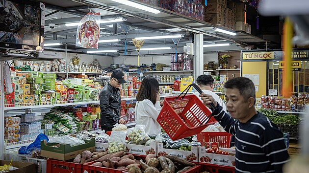 Vietnamsk� tr�nice Sapa