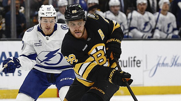 David Pastrk v akci pi utkn s Tampa Bay.