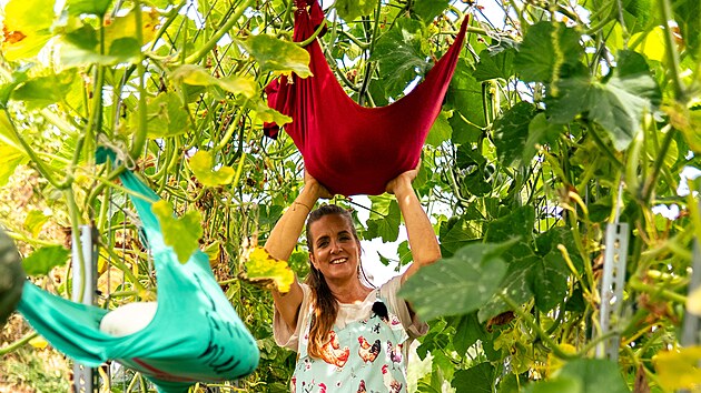 Tk dn mohou potebovat oporu. Pout se d teba star triko nebo mikina, rad Eywa.