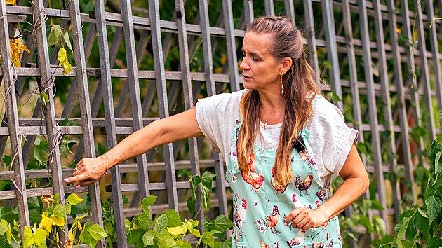 Fazole se potebuje pnout nahoru, vysvtluje Eywa. Zvldnou to samy.