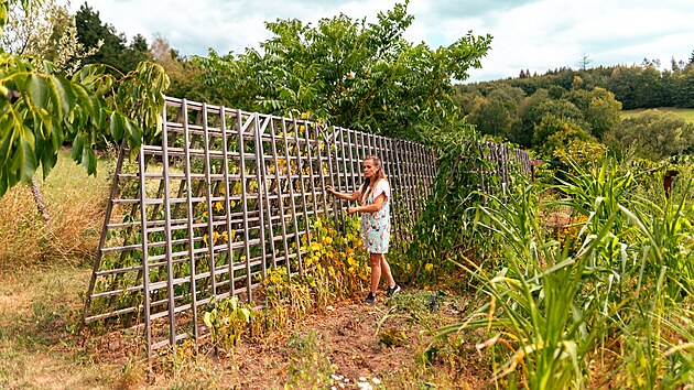 Devn ka pro fazole jsou jednoduch a mobiln.