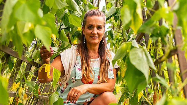 Jednoduch trele postaven do ka jsou ideln na pstovn fazol. 