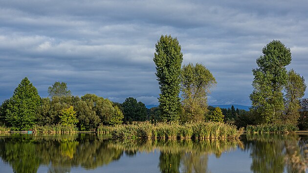 Za rybn�kem ve Star�m Plese jsou pozemky, kter� koupila hradeck� stavebn�...