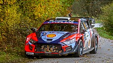 Stedoevropská rally se dostala v pátek do ech. Jedna z RZ se jela na...