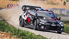 Stedoevropská rallye, podnik mistrovství svta v automobilových soutích, v...