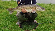 Tento candát mil 73 centimetr.