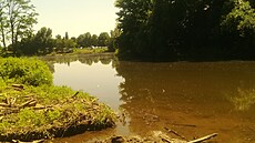 Kadý rybá má svá oblíbená místa.