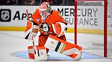 Luká Dostál z Anaheim Ducks zasahuje bhem utkání s Pittsburgh Penguins.