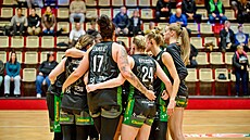 Brnnské abiny bhem utkání v Chomutov.