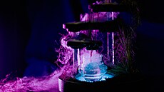 Cocktail Pandora odkazuje na planetu z filmu Avatar. (8. íjna 2025)