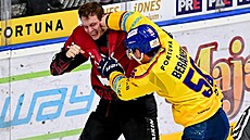 eskobudjovický Martin Beránek pi bitce se sparanem Krejíkem.