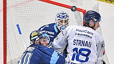 Liberecký gólman Kváa hypnotizuje létající kotou.