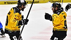 Velká radost hrá Litvínova z trefy do sít Brna.