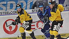 Vítkovický Hauser se prodírá pes litvínovskou pesilu.