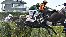 okej Keith Donoghue v sedle Stumptowna na trati Velké pardubické