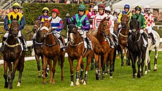 Závodníci se pipravují na start Velké pardubické.