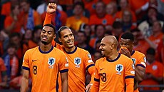 Nizozemský stoper Virgil van Dijk slaví se spoluhrá�i sv�j gól.