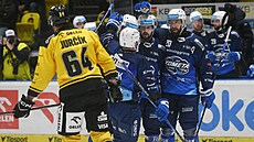 Brnntí hokejisté se radují z gólu imona Stránského v utkání proti Litvínovu.
