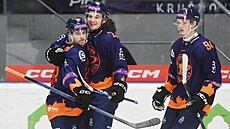 Hokejisté Litomic se radují z gólu.