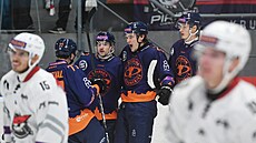 Hokejisté Litomic se radují z gólu proti Chomutovu.