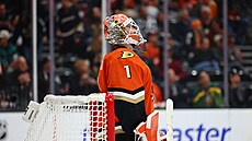 eský branká Luká Dostál v brance Anaheimu