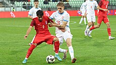 Albert Labík v utkání kvalifikace mistrovství Evropy v Karviné brání Eshgina...