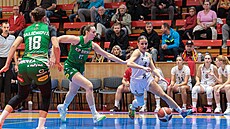 Hradecká Anna Broová se pokouí proniknout ke koi, brání ji Aneka Kopecká z...