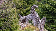 Nmecké web pro mláde oznail obec Haidmühle na nmecké ásti umavy hanlivým...