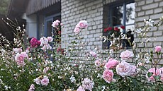 Prvorepublikov� zahrada, sout�, Evropa