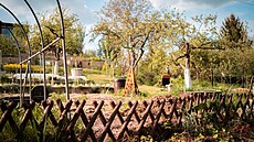 Studna je ve spodn� ��sti zahrady