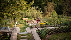 Pohled pes pátení schodit a terasy se záhony dol k potoku  tedy do sadu a...