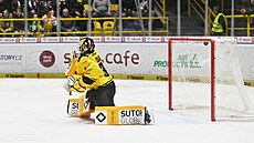 Pavel ajan inkasuje gól.