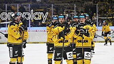 Zklamaní hokejisté Litvínova