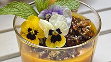 Koenn dov panna cotta s karamelem a dovmi semnky podle Michala Deuse